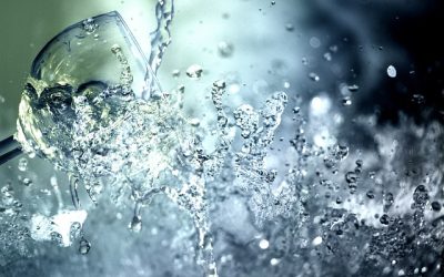 Hidrogeología: La ciencia de las aguas subterráneas